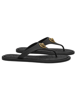 Alia medusa slides