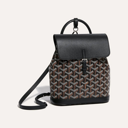 Alpin Mini Backpack