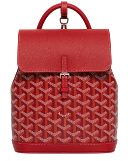 Alpin Mini Backpack