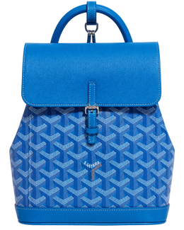 Alpin Mini Backpack