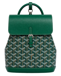 Alpin Mini Backpack