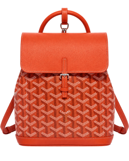 Alpin Mini Backpack