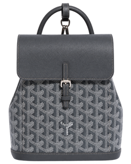 Alpin Mini Backpack