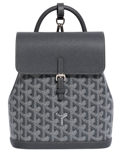Alpin Mini Backpack