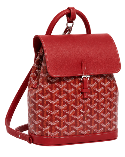 Alpin Mini Backpack
