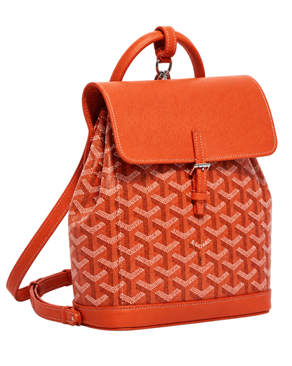 Alpin Mini Backpack