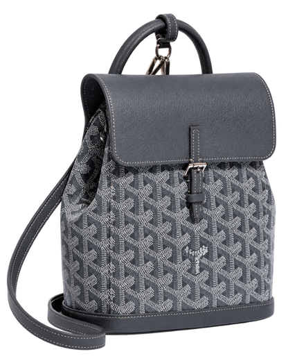 Alpin Mini Backpack
