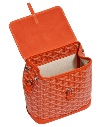 Alpin Mini Backpack