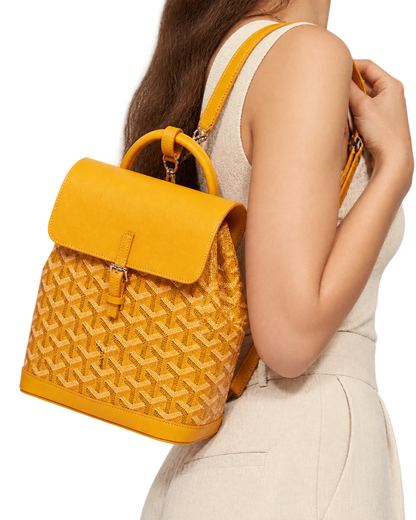 Alpin Mini Backpack