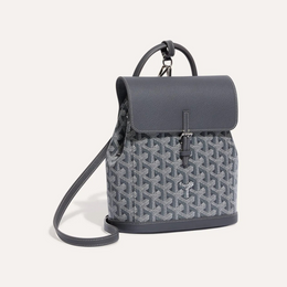 Alpin Mini Backpack