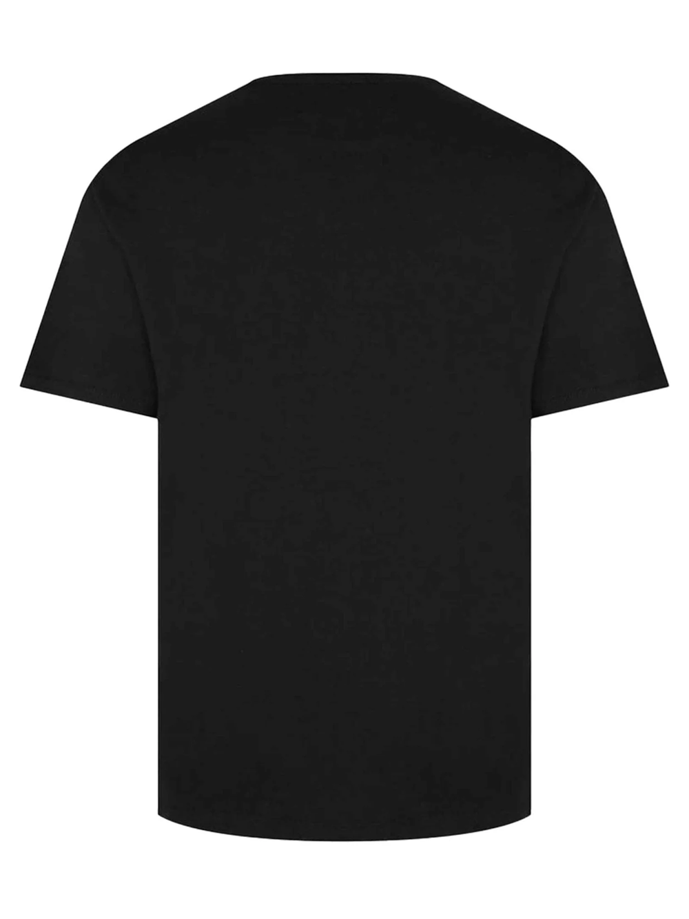 Amiri Pegasus Script Logo Printed T-Shirt in Black