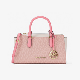 Arden Small Color-Block Signature Logo Messenger Bag