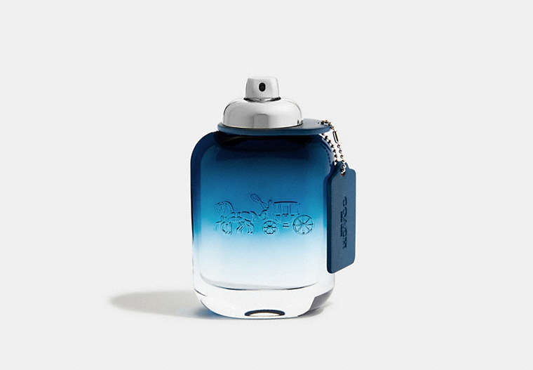 Coach Blue Eau De Toilette 100 Ml