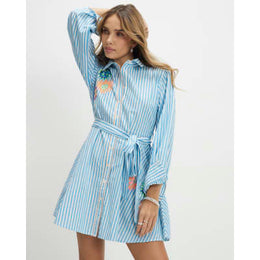 Blue Striped Embroidered Shirt Mini Dress