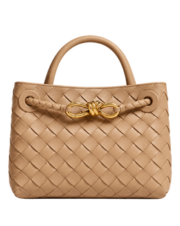 Bottega Veneta Mini Andiamo