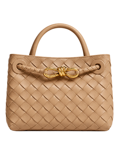 Bottega Veneta Mini Andiamo