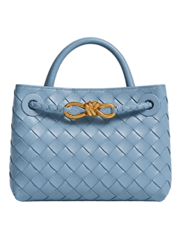 Bottega Veneta Mini Andiamo
