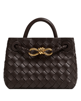 Bottega Veneta Mini Andiamo