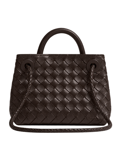 Bottega Veneta Mini Andiamo