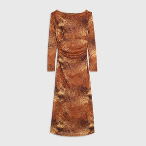Brown Mesh Long Sleeve Spot Print Midi Dress