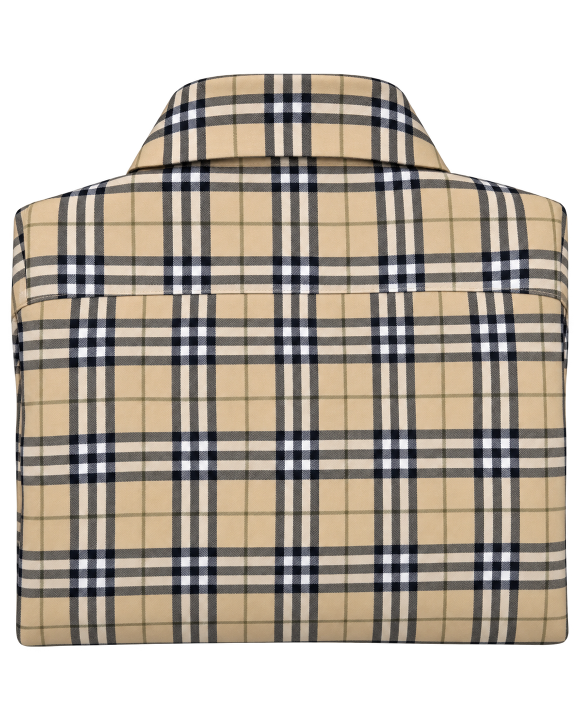 Burberry Check cotton shirt