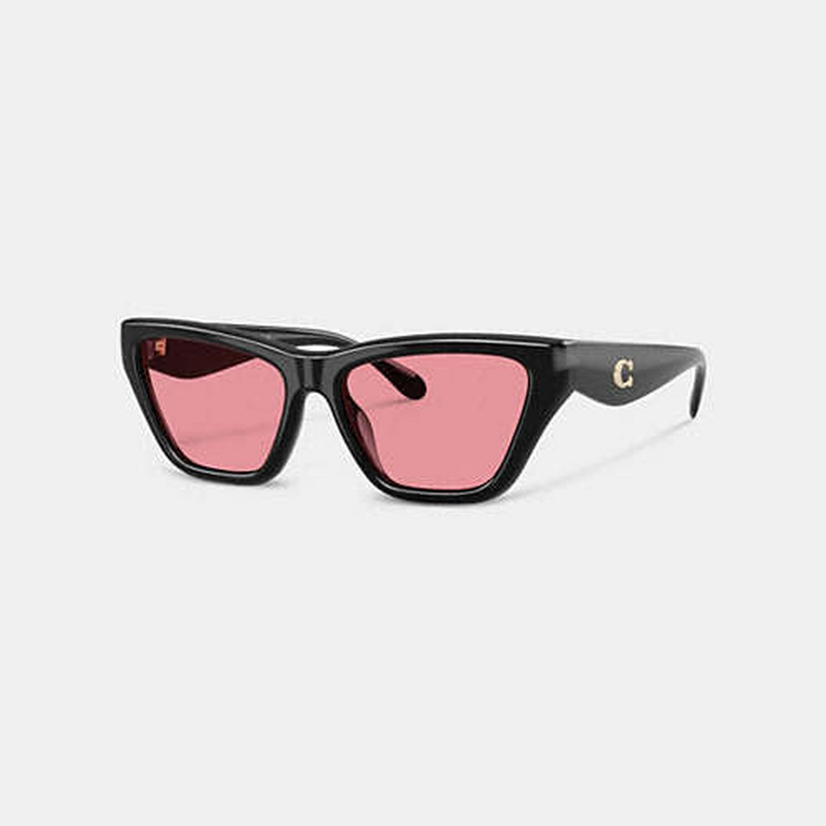 C Hardware Cat Eye Sunglasses