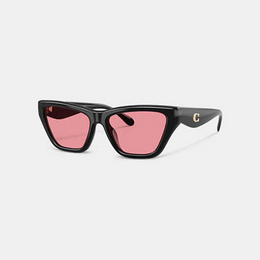 C Hardware Cat Eye Sunglasses