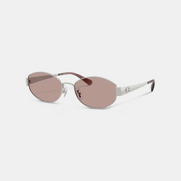 C Hardware Metal Narrow Oval Sunglasses