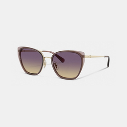 C Hardware Metal Square Sunglasses