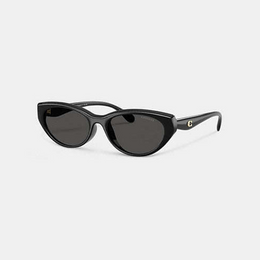 C Hardware Oval Cat Eye Sunglasses