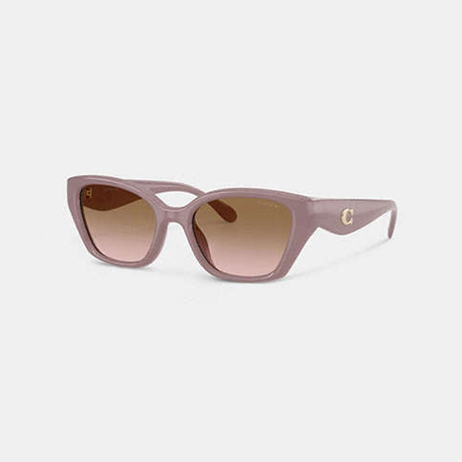 C Hardware Square Cat Eye Sunglasses