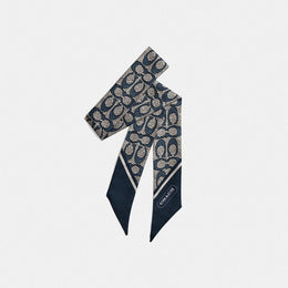Textured Signature Print Silk Skinny Scarf