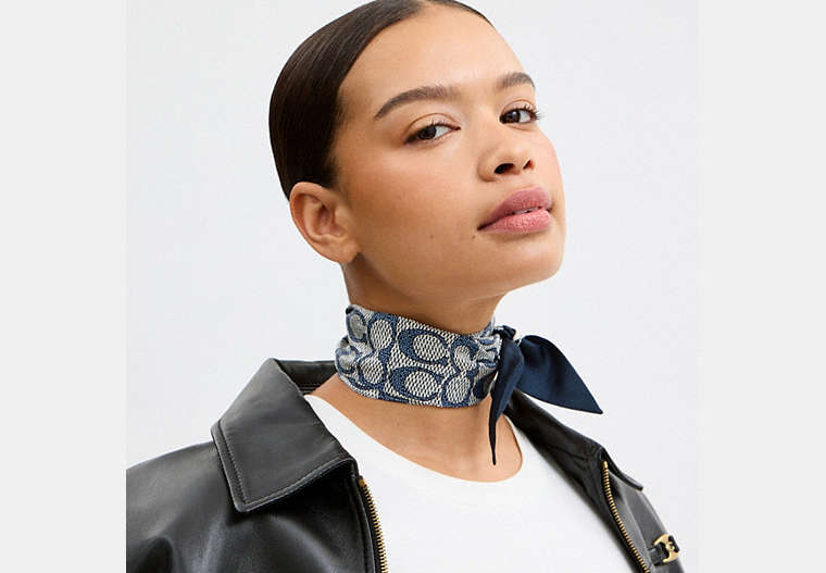 Textured Signature Print Silk Skinny Scarf