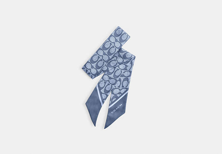 Textured Signature Print Silk Skinny Scarf