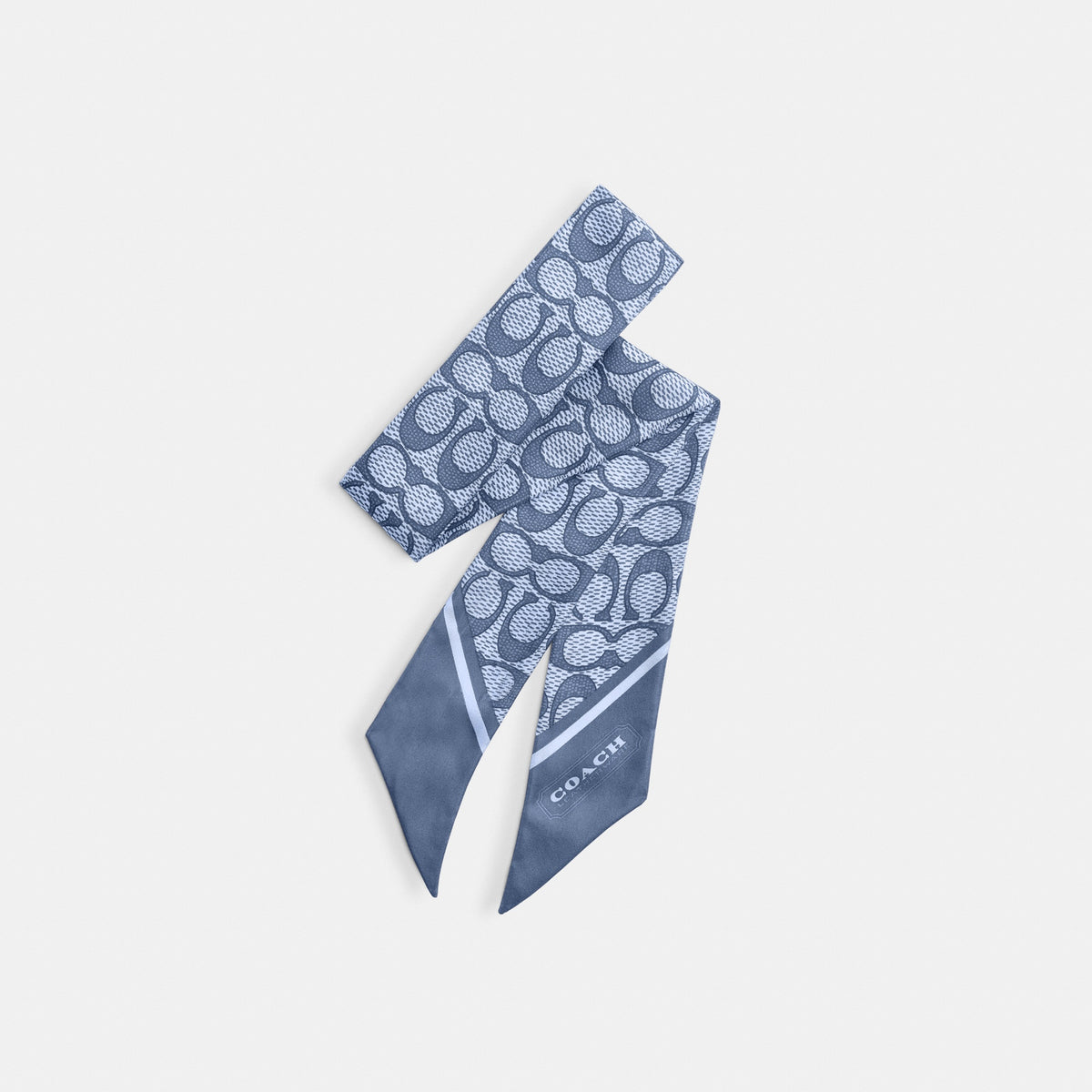 Textured Signature Print Silk Skinny Scarf
