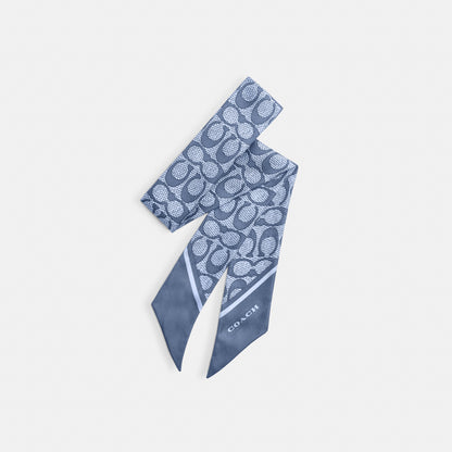 Textured Signature Print Silk Skinny Scarf
