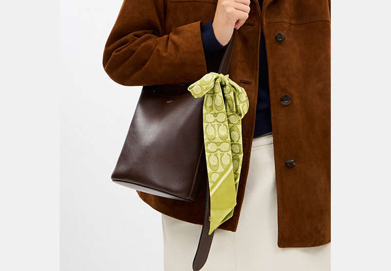 Textured Signature Print Silk Skinny Scarf