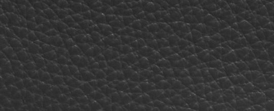 Snap Wallet
