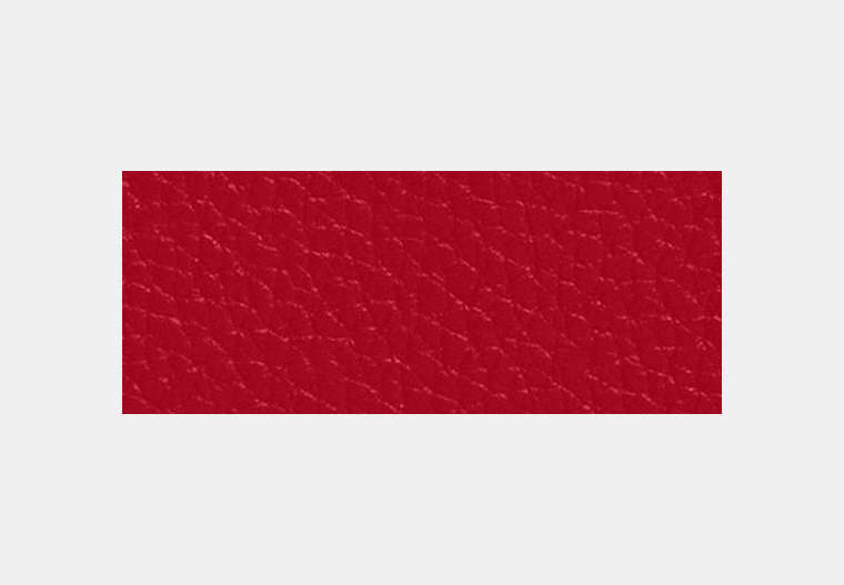 Snap Wallet