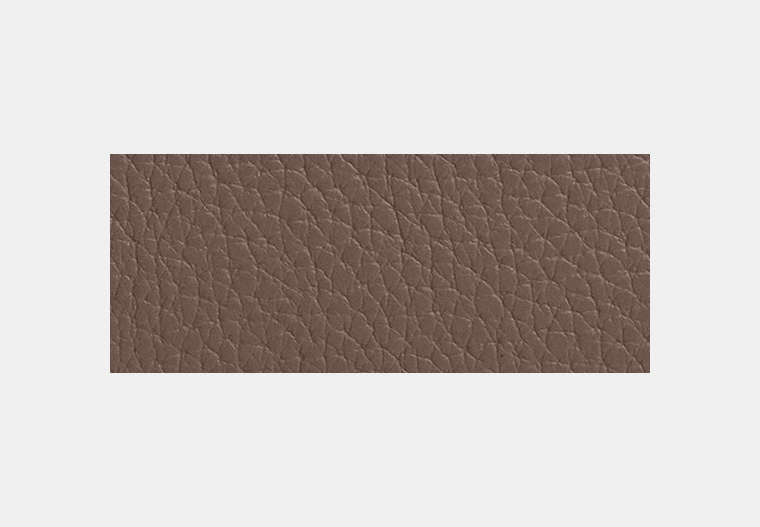 Snap Wallet