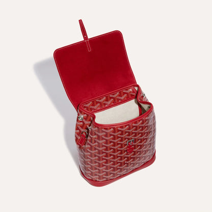 Alpin Mini Backpack