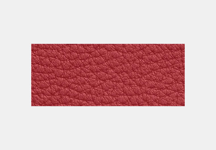 Zip Card Case