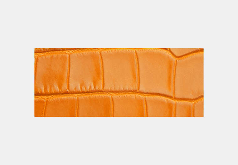 Rogue Bag 25 In Alligator