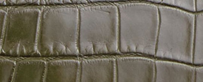 Rogue Bag 25 In Alligator