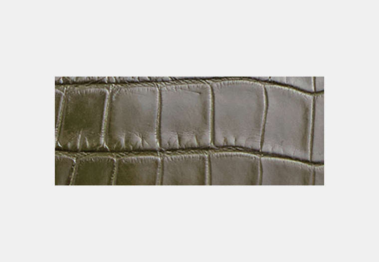 Rogue Bag 25 In Alligator