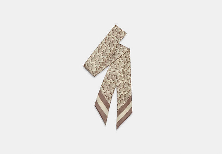 Signature Print Silk Skinny Scarf