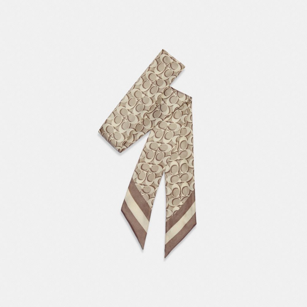 Signature Print Silk Skinny Scarf