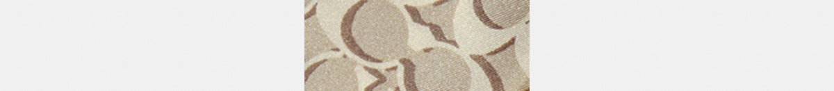 Signature Print Silk Skinny Scarf