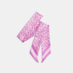 Signature Print Silk Skinny Scarf