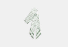Signature Print Silk Skinny Scarf